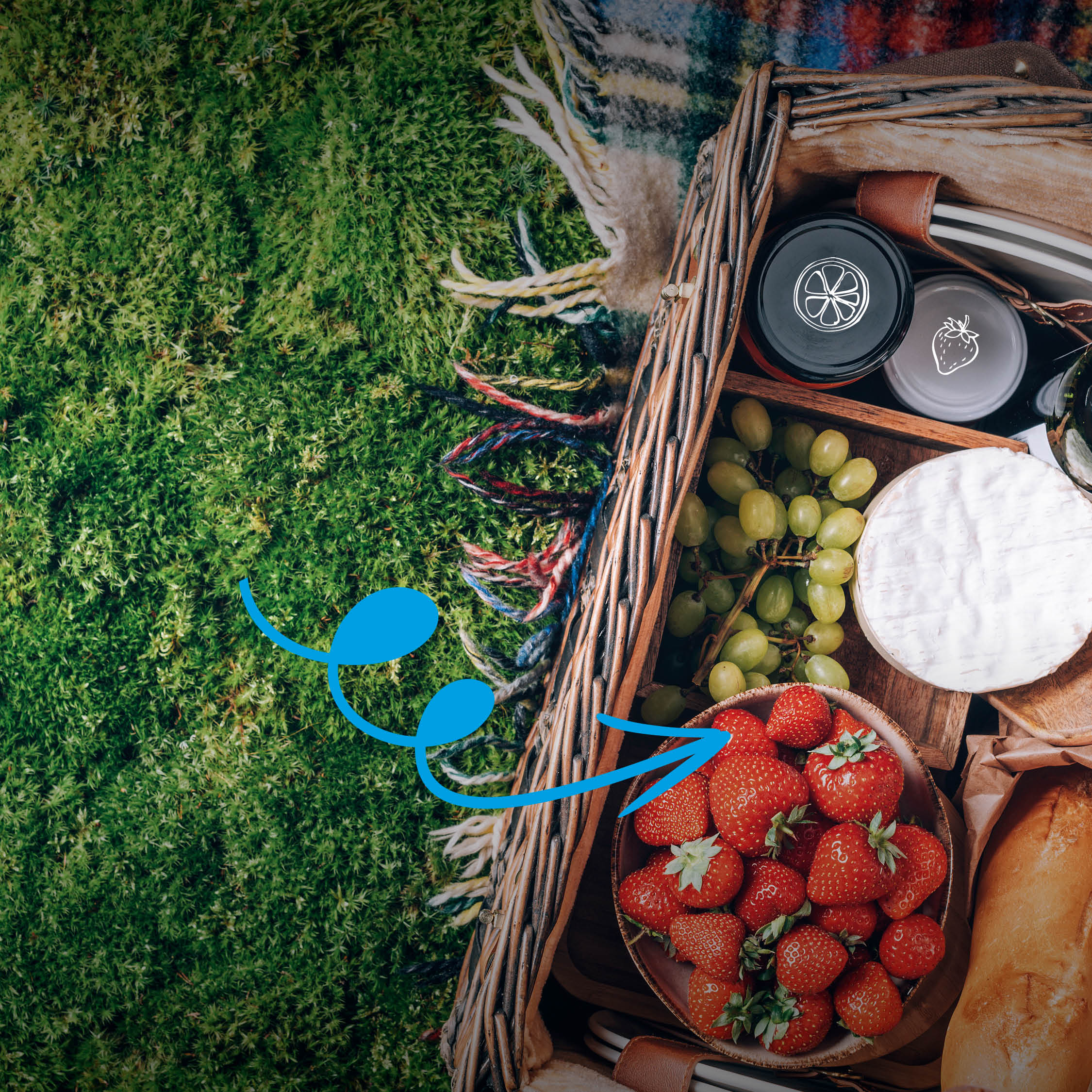 Savvy picnic ideas from our #SavvyWorkingMum